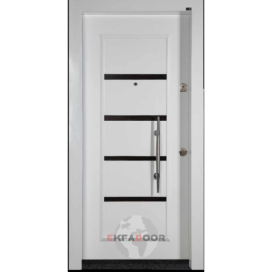 Modern Çelik Kapı Ayaz